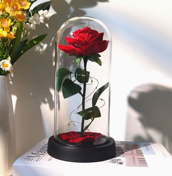 Rose éternelle lumineuse