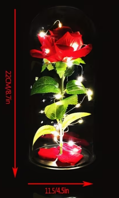Rose éternelle lumineuse