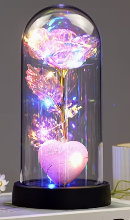 Rose éternelle lumineuse