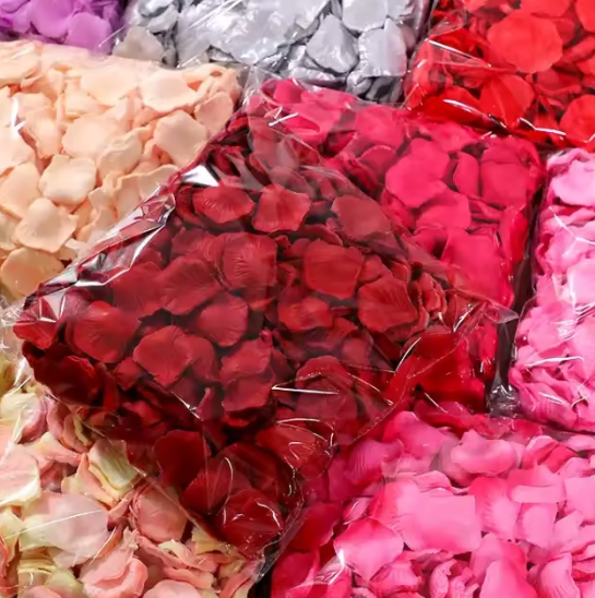 Pétales de roses